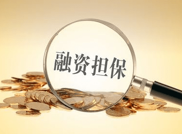 濱州市融資擔(dān)保集團(tuán)有限公司